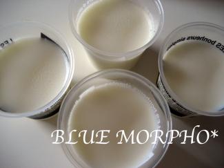 bluemorpho.seets.2011.5.21.3