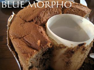 bluemorpho.sweets.2011.5.29.2