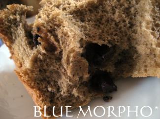 bluemorpho.sweets.2011.5.29.3