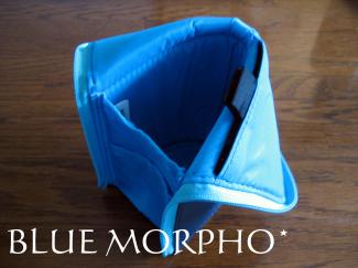 bluemorpho.2011.6.5.2