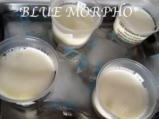 bluemorpho.sweets.2011.6.7