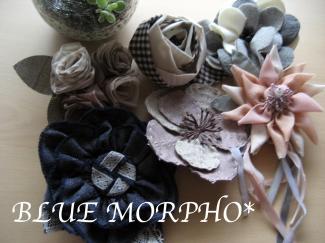 bluemorpho.clo.2011.6.10
