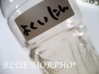 bluemorpho.2011.6.18.2