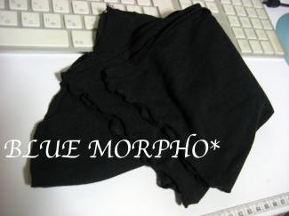 bluemorpho.re.2011.6.17.1
