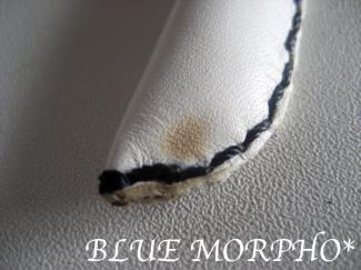 bluemorpho.lea.2011.6.21.1