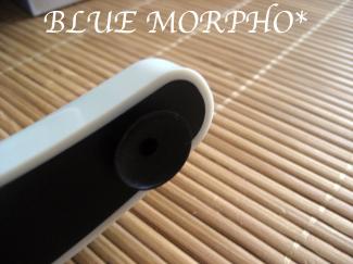 bluemorpho.2011.7.14.1