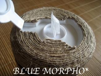 bluemorpho.re.2011.8.5.2