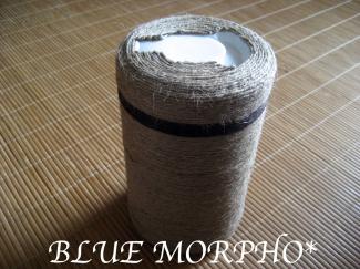 bluemorpho.re.2011.8.5.3