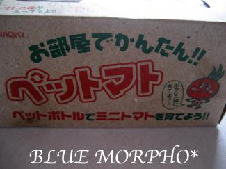 bluemorpho.green.2011.10.1.1