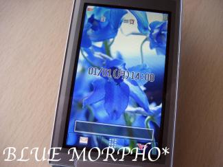 bluemorpho.2011.10.28.3