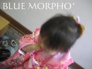 bluemorpho.fami.2011.11.6.1