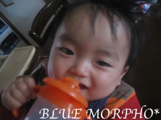 bluemorpho.2011.11.7.3