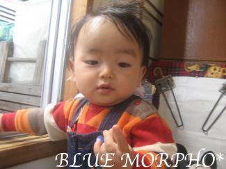 bluemorpho.2011.11.7.1