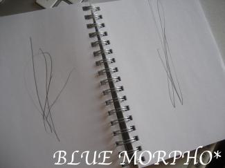 bluemorpho.2011.11.8.1
