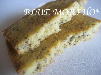 bluemorpho.sweets.2011.11.14.1