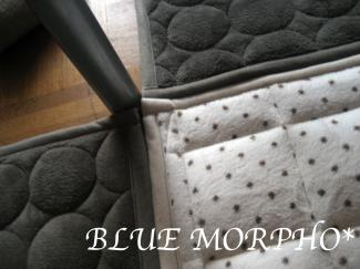 bluemorpho.win2011.2011.11.17.2