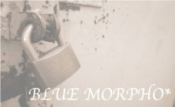 bluemorpho.rapp.2011.11.2..3