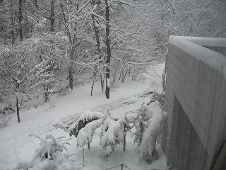 0307　3月の大雪 (17)