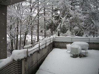 0307　3月の大雪 (28)