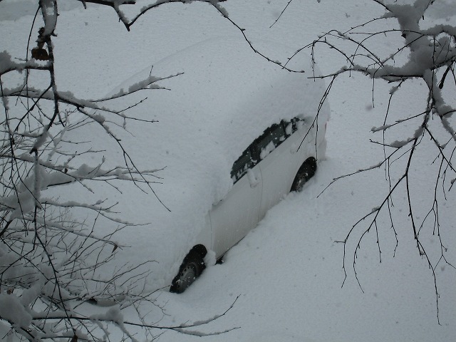 0307　3月の大雪 (36)