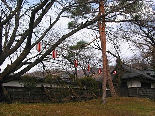 0407高島城の桜ｊのつぼみ (2)