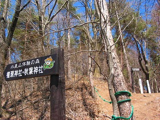 0403小泉山 (1)
